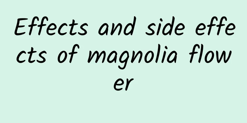 Effects and side effects of magnolia flower