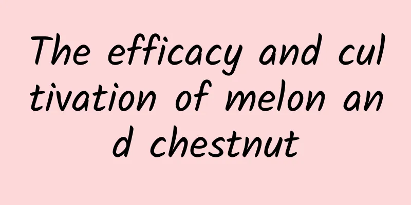 The efficacy and cultivation of melon and chestnut