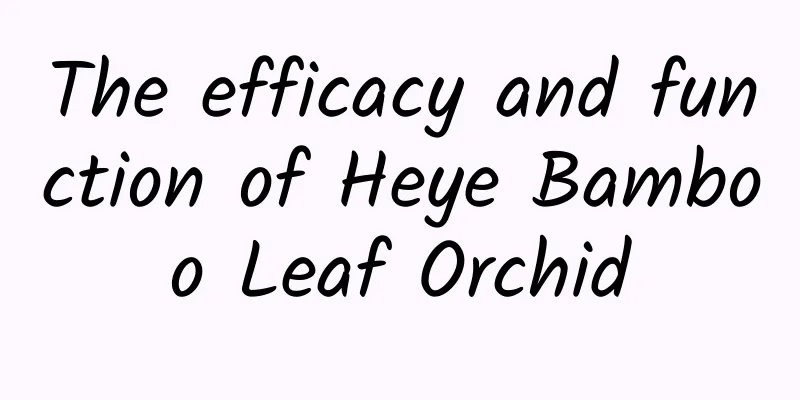 The efficacy and function of Heye Bamboo Leaf Orchid