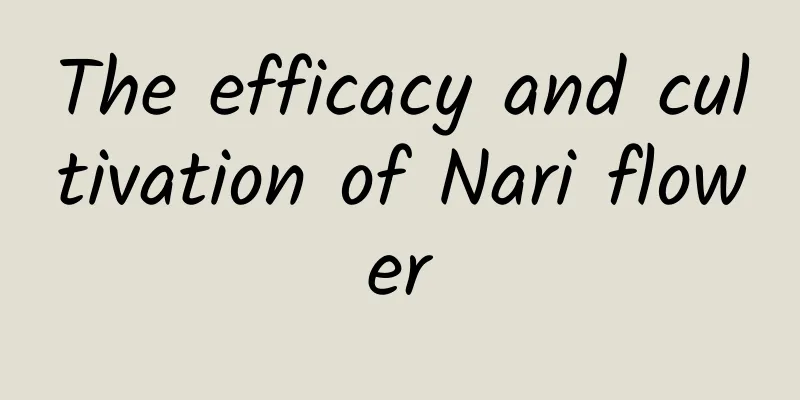 The efficacy and cultivation of Nari flower