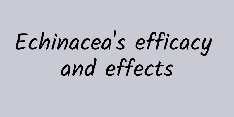 Echinacea's efficacy and effects