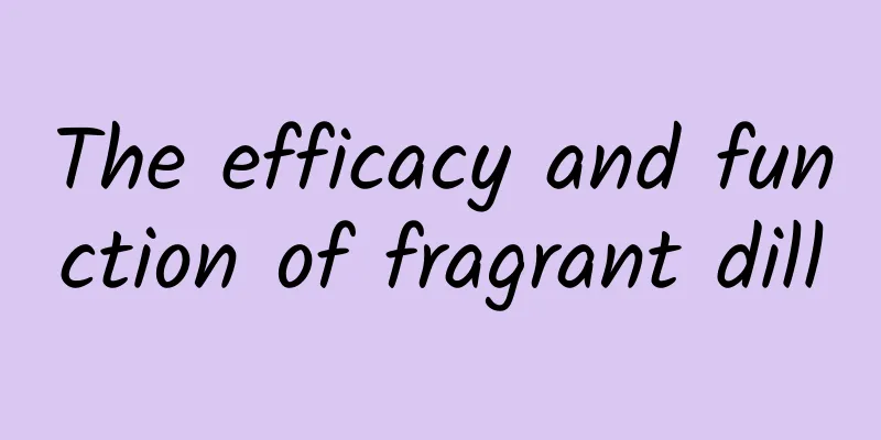 The efficacy and function of fragrant dill