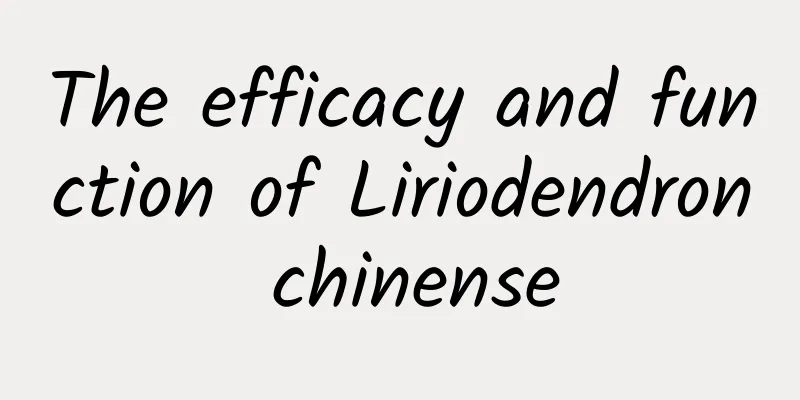 The efficacy and function of Liriodendron chinense