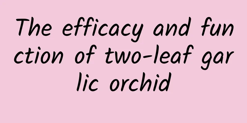 The efficacy and function of two-leaf garlic orchid