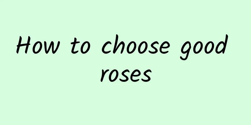 How to choose good roses