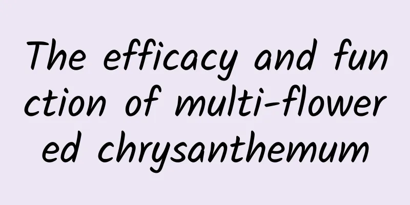 The efficacy and function of multi-flowered chrysanthemum