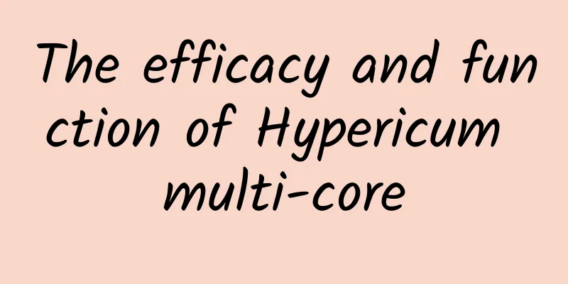 The efficacy and function of Hypericum multi-core