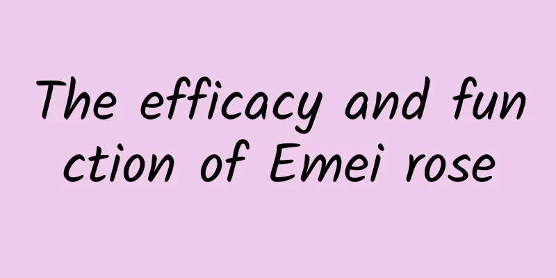 The efficacy and function of Emei rose