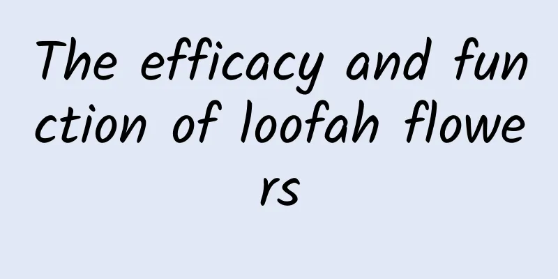 The efficacy and function of loofah flowers