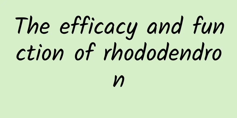 The efficacy and function of rhododendron