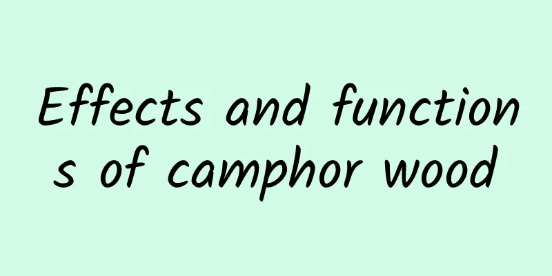 Effects and functions of camphor wood