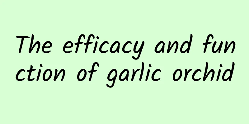 The efficacy and function of garlic orchid