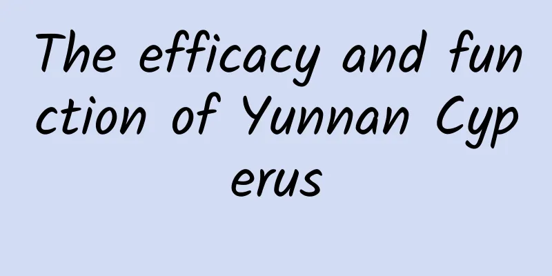 The efficacy and function of Yunnan Cyperus