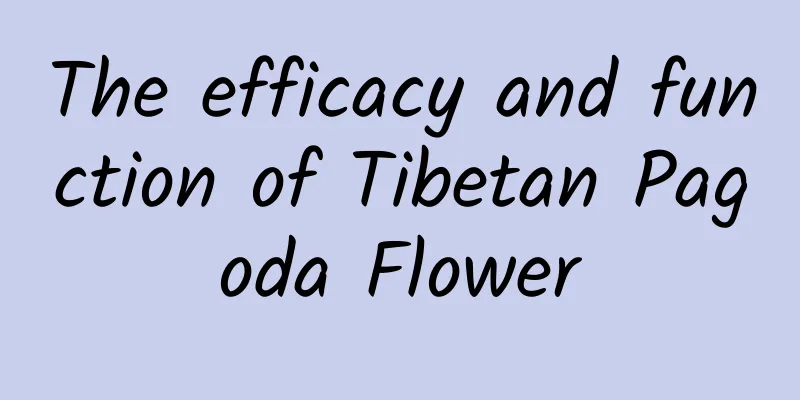 The efficacy and function of Tibetan Pagoda Flower