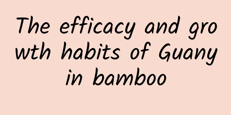 The efficacy and growth habits of Guanyin bamboo