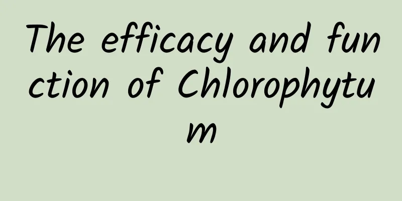 The efficacy and function of Chlorophytum