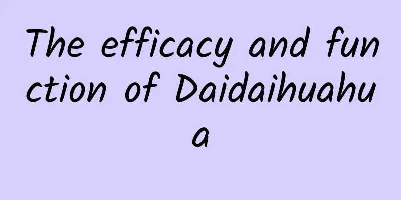 The efficacy and function of Daidaihuahua