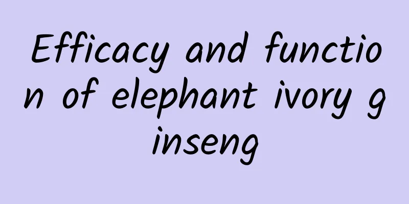 Efficacy and function of elephant ivory ginseng