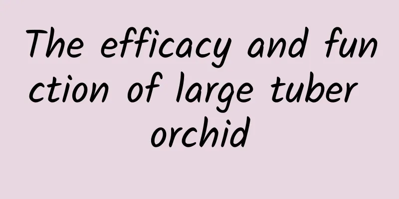 The efficacy and function of large tuber orchid