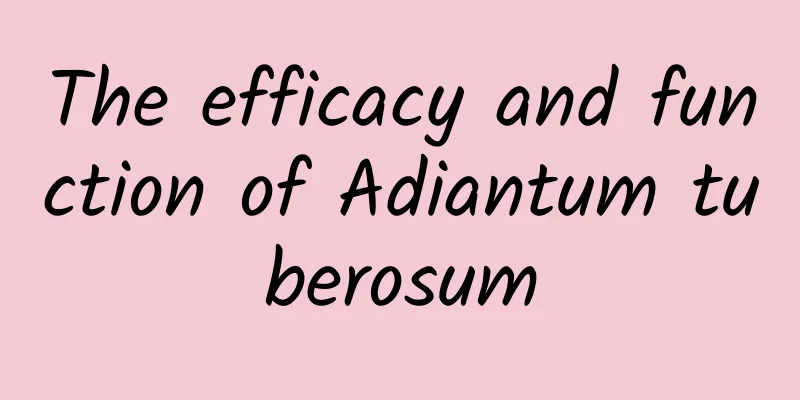 The efficacy and function of Adiantum tuberosum