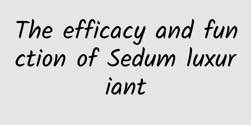 The efficacy and function of Sedum luxuriant