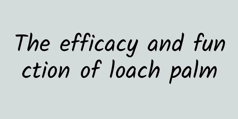 The efficacy and function of loach palm