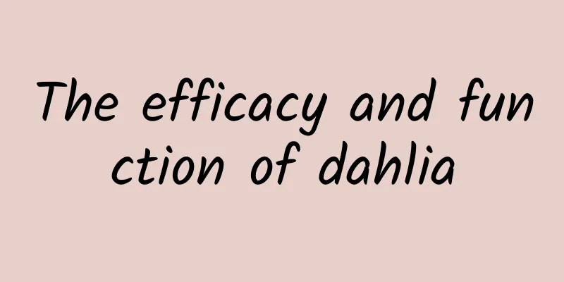 The efficacy and function of dahlia