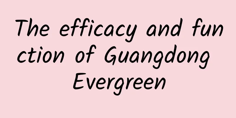 The efficacy and function of Guangdong Evergreen