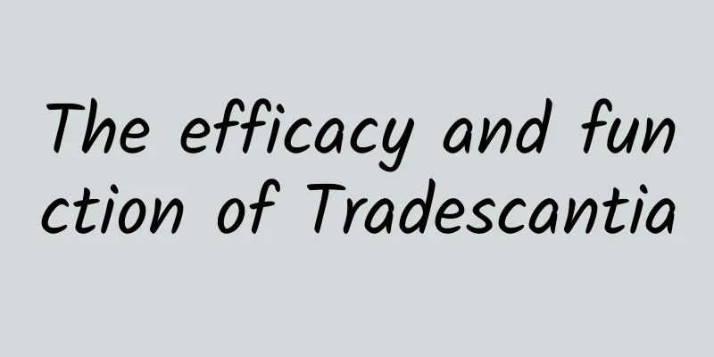 The efficacy and function of Tradescantia