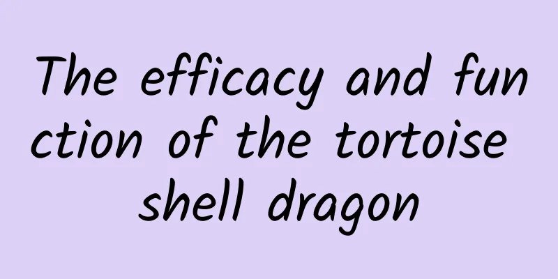 The efficacy and function of the tortoise shell dragon