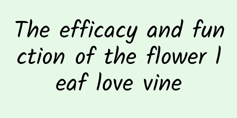 The efficacy and function of the flower leaf love vine