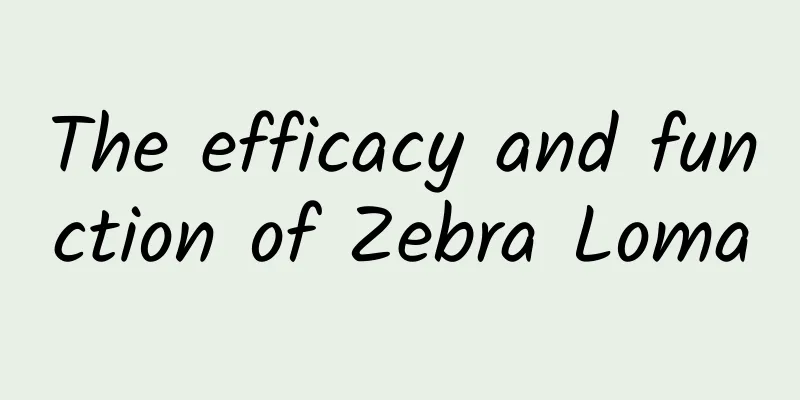 The efficacy and function of Zebra Loma