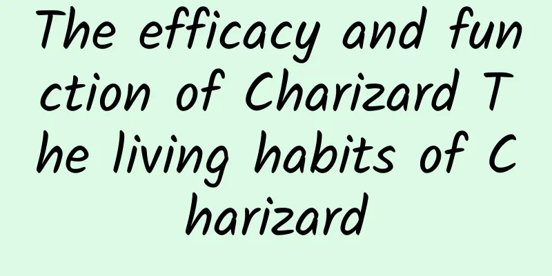 The efficacy and function of Charizard The living habits of Charizard