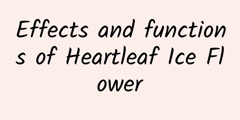 Effects and functions of Heartleaf Ice Flower