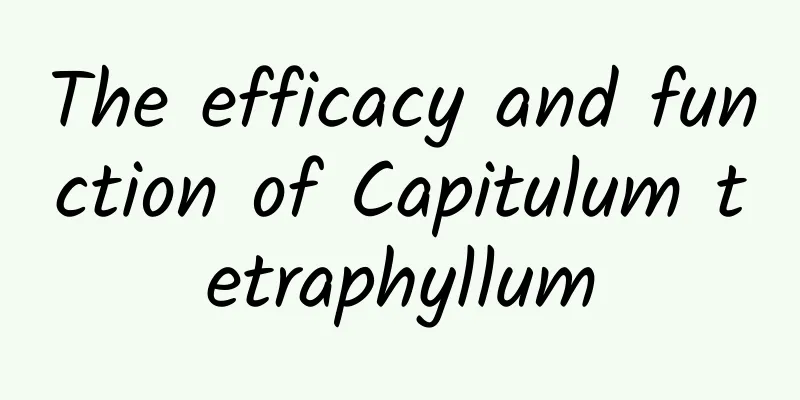 The efficacy and function of Capitulum tetraphyllum