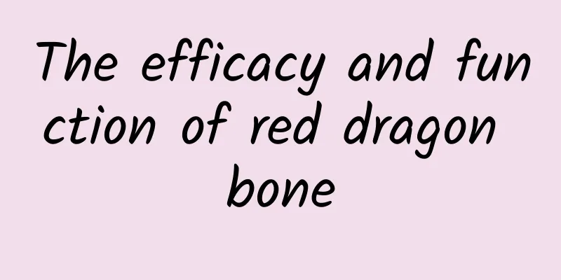 The efficacy and function of red dragon bone