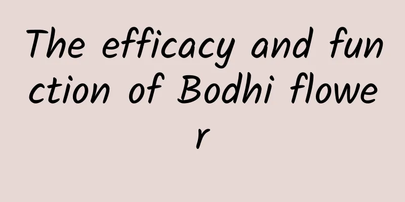 The efficacy and function of Bodhi flower