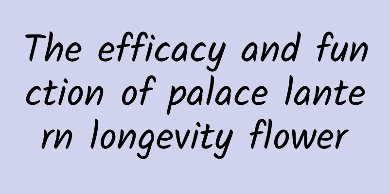 The efficacy and function of palace lantern longevity flower