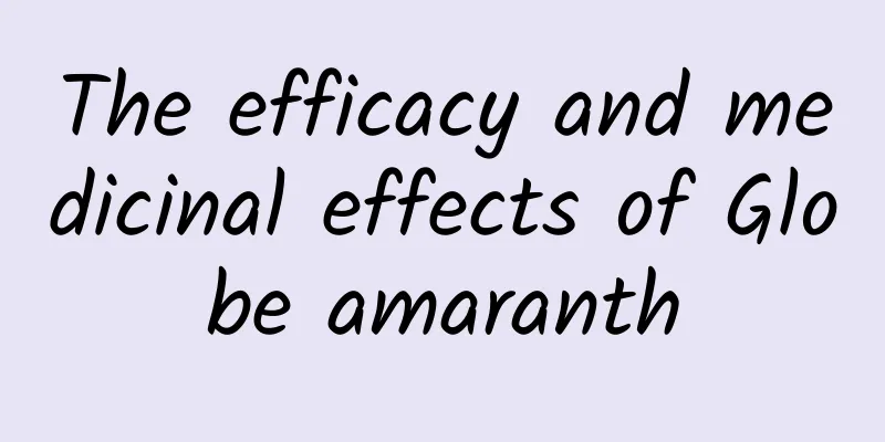 The efficacy and medicinal effects of Globe amaranth