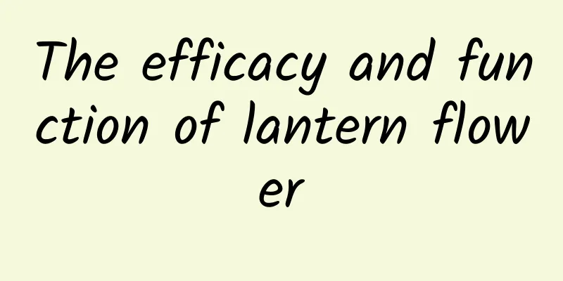 The efficacy and function of lantern flower