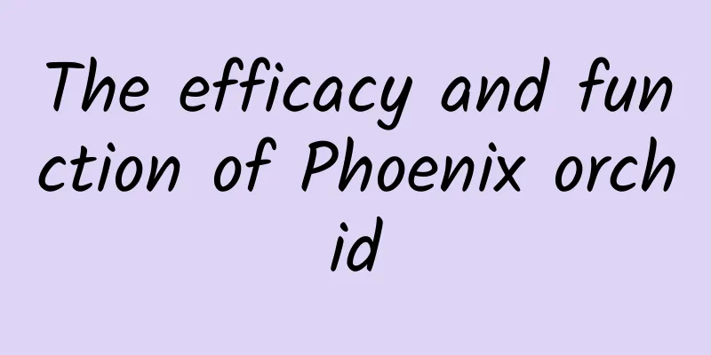 The efficacy and function of Phoenix orchid