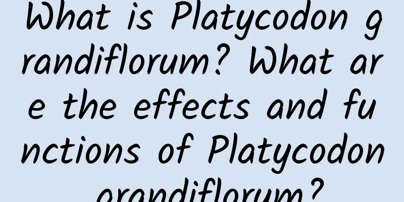 What is Platycodon grandiflorum? What are the effects and functions of Platycodon grandiflorum?