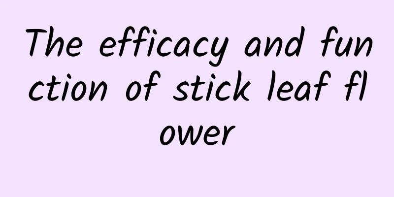 The efficacy and function of stick leaf flower