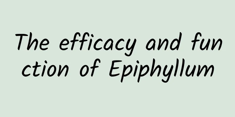 The efficacy and function of Epiphyllum