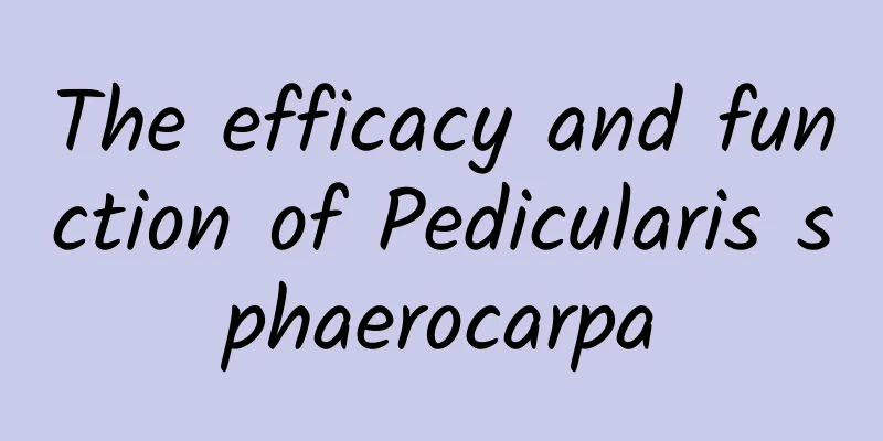 The efficacy and function of Pedicularis sphaerocarpa