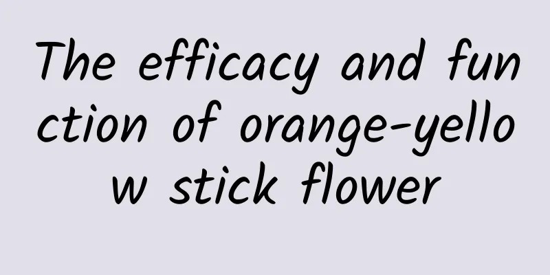 The efficacy and function of orange-yellow stick flower