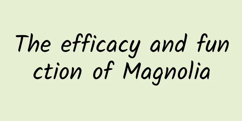 The efficacy and function of Magnolia