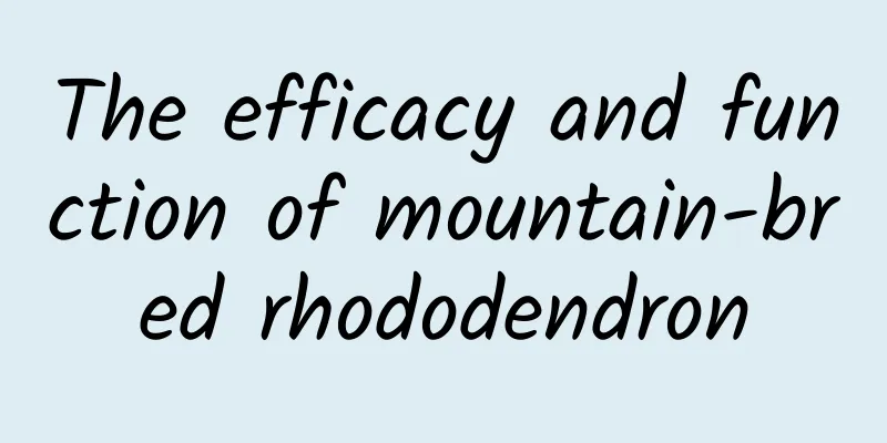 The efficacy and function of mountain-bred rhododendron