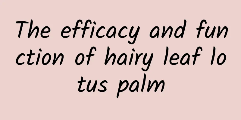 The efficacy and function of hairy leaf lotus palm