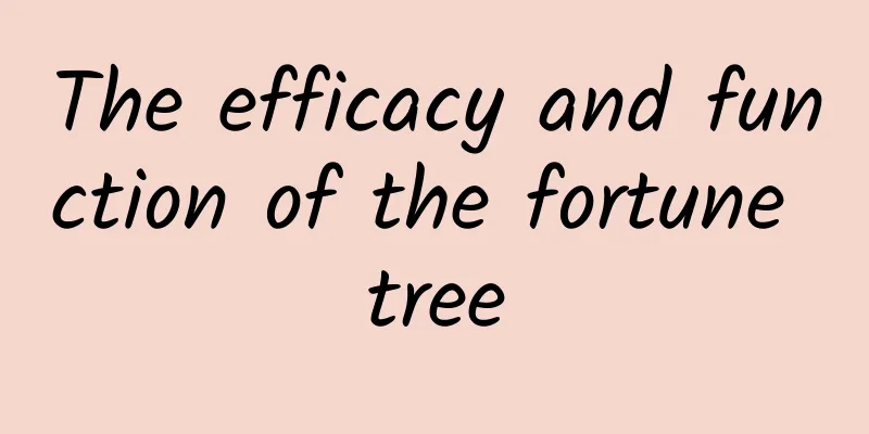 The efficacy and function of the fortune tree